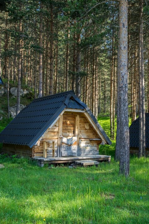 Chalets pod Gorom Nature lodge in Montenegro