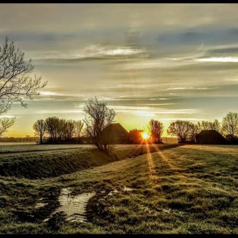 Sunrise