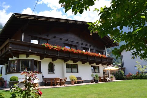 Property building, Summer