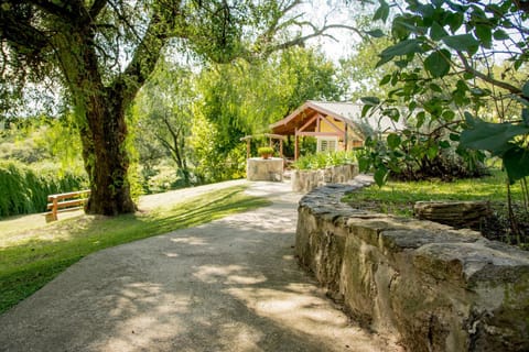 Natural landscape, Garden, Garden view