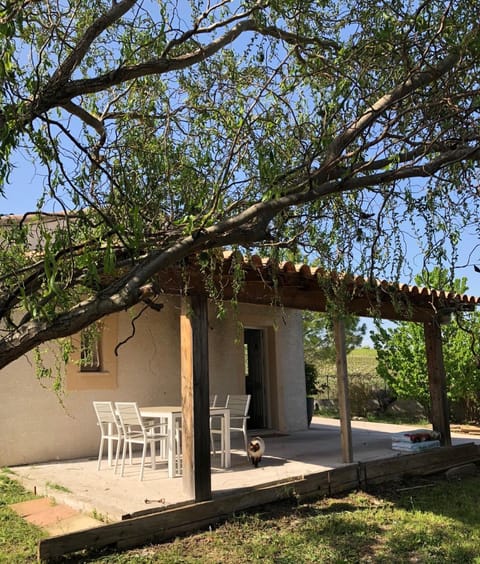 Patio, Garden