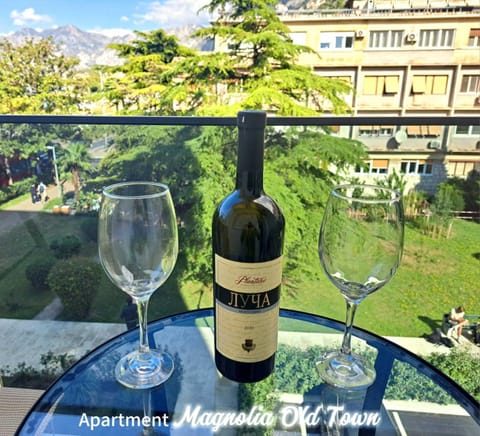 Magnolia Old Town Apartment in Kotor