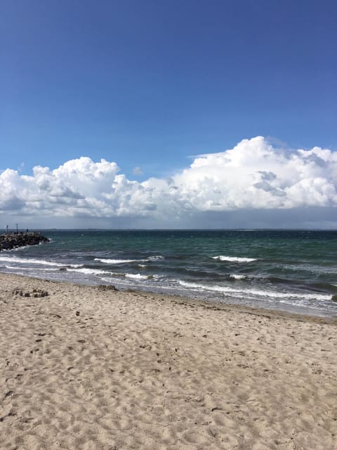 Ferienhäuser Liethmann Haus 3 W 1 Apartment in Mecklenburg-Vorpommern, Germany