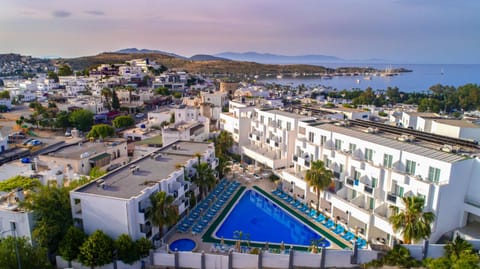 Bird's eye view, City view, Sea view