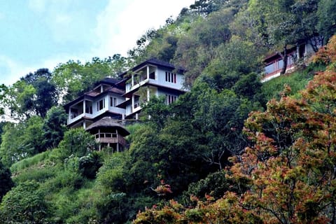 Property building, Bird's eye view