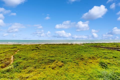 Seagull Condominiums #301 Apartment in South Padre Island
