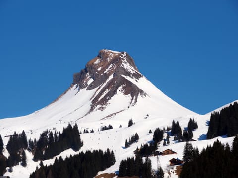 Nearby landmark, Day, Natural landscape, Winter, Mountain view