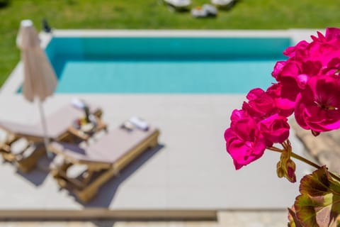 Corfu Town Garden House House in Corfu