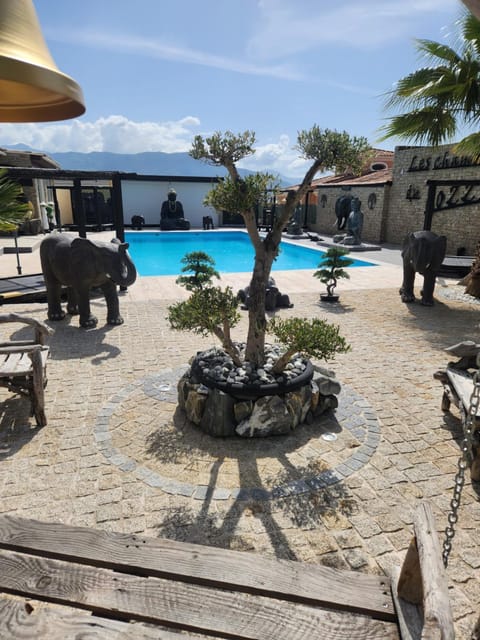 Pool view