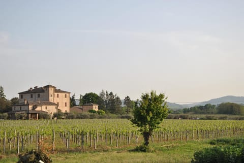 Natural landscape, Landmark view