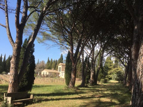 Spring, Day, Natural landscape, Activities, Garden, Hiking, On site, Garden view, Area and facilities, Entertainment