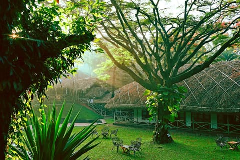 Spring, Day, Natural landscape, Garden