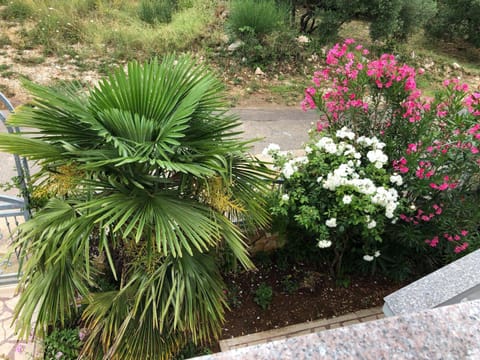 Ivo Apartment in Šibenik-Knin County, Croatia