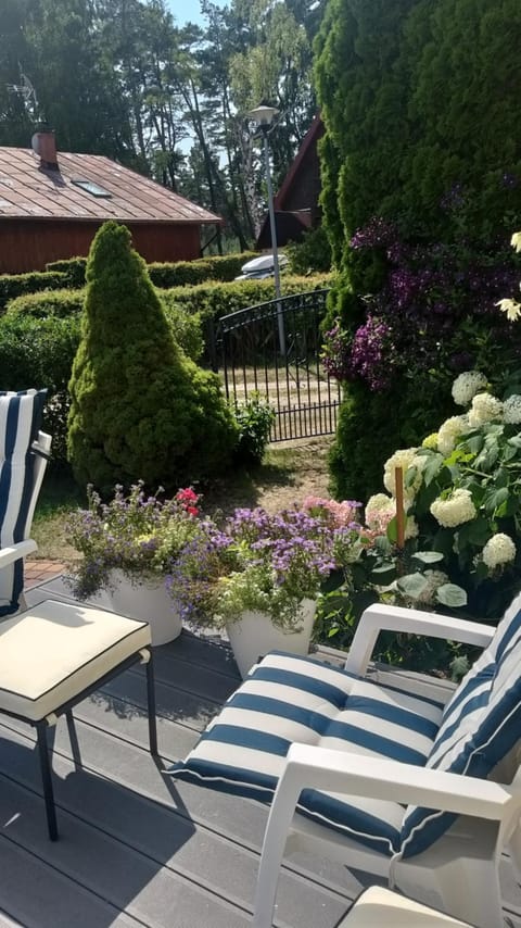Patio, Garden, Garden view, sunbed