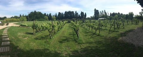 Safranière des Sorgues Country House in Le Thor