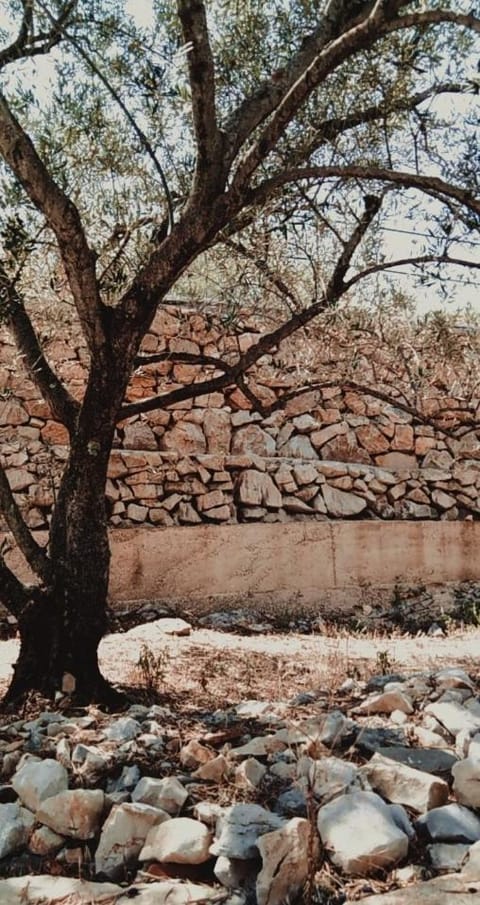 House Sardelić Bed and Breakfast in Dubrovnik-Neretva County