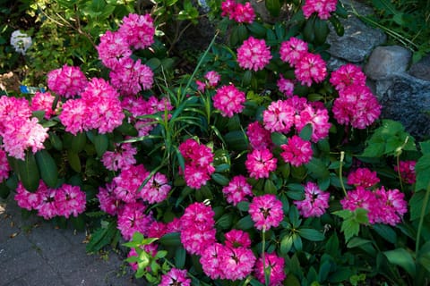 Stadtvilla B Apartment in Ostholstein