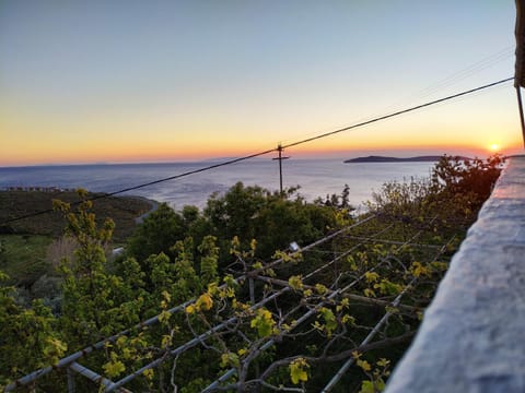 Spring, Natural landscape, Garden, Garden view, Landmark view, Sea view, Sunset