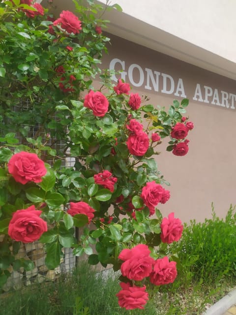 Garden, Garden view