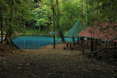 Natural landscape, River view