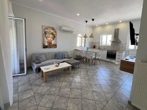 TV and multimedia, Kitchen or kitchenette, Living room, Seating area, Dining area, minibar, pet friendly, air conditioner