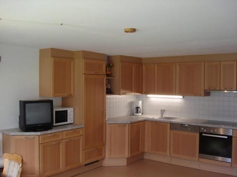 Kitchen or kitchenette, dishwasher, minibar, stove