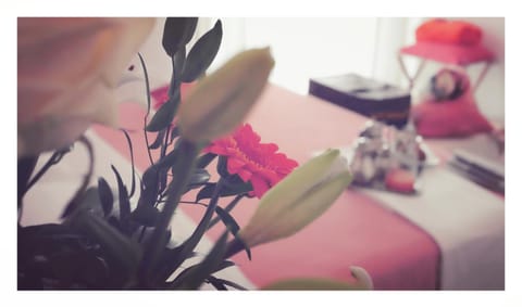 B&B Dolce Olga Bed and Breakfast in Peschiera del Garda