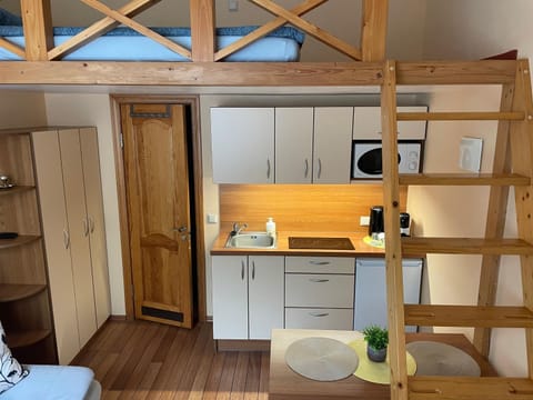 Pas Jūrate Villa Hubertus Apartment in Klaipėda County, Lithuania