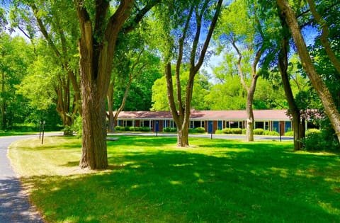 Natural landscape, Garden view
