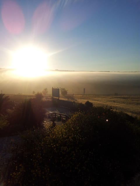Agriturismo Terra dei Sassi Country House in Matera