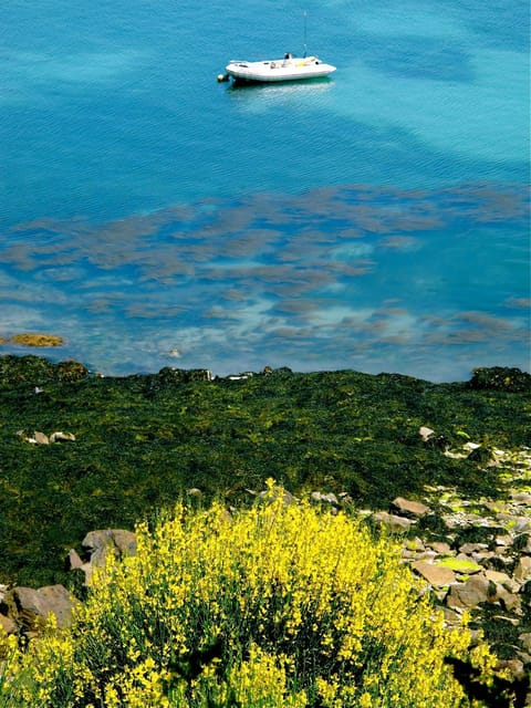 Le Logis du Roc Bed and Breakfast in Granville