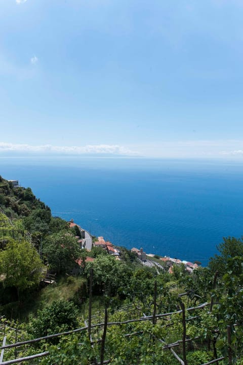Natural landscape, Garden view, Sea view
