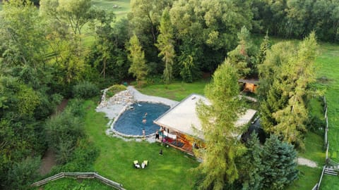 Bird's eye view, Garden, Sauna, Swimming pool