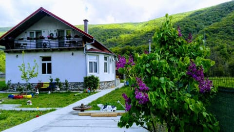 Vila di Pau Vacation rental in Serbia