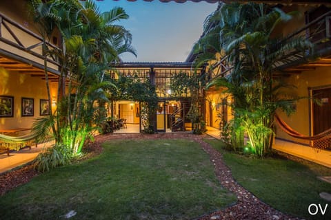Garden, Garden view, Sunset