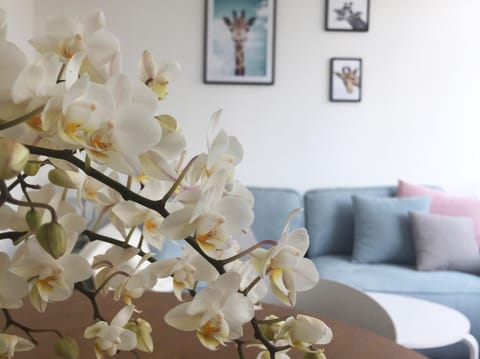 Living room, Photo of the whole room