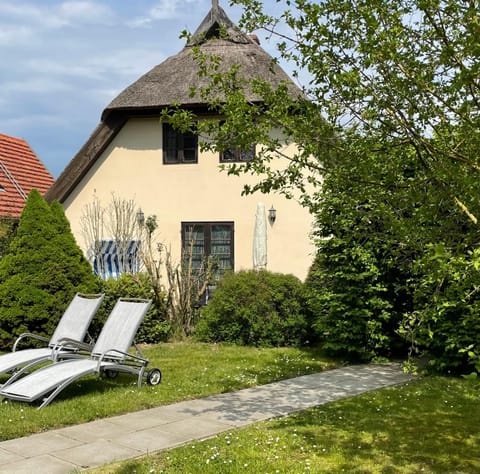 Garden, Garden view, Inner courtyard view