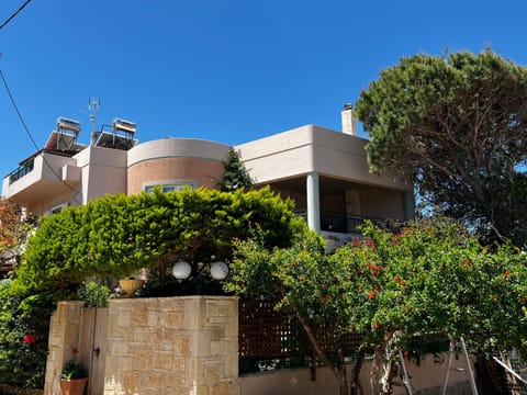 Property building, Day