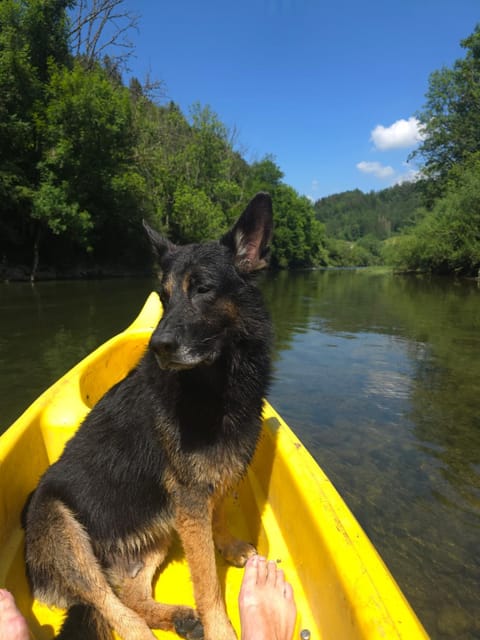 aschis Lodge 2 Apartment in Canton of Bern (Region)