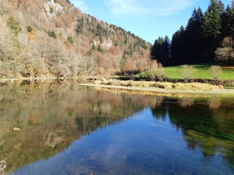 aschis Lodge 2 Apartment in Canton of Bern (Region)