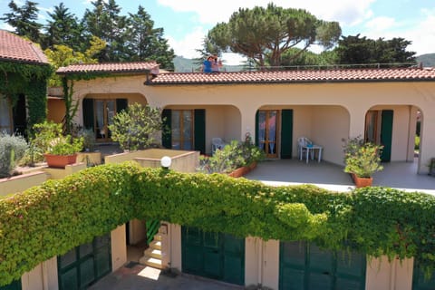 Property building, Patio