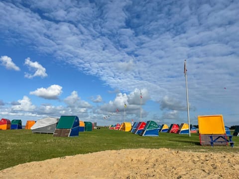 Summer, Beach, On site