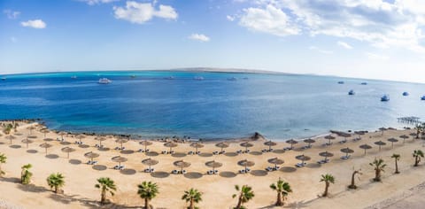 Beach, sunbed