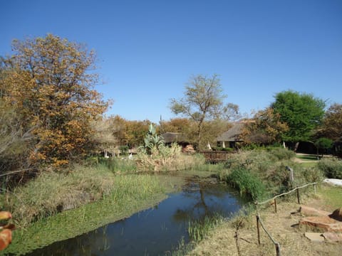 Natural landscape