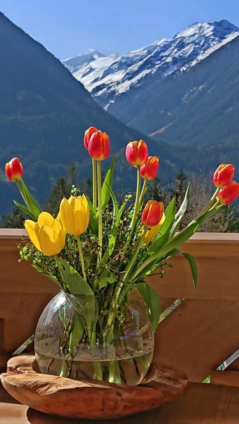 Natural landscape, Hiking, Mountain view
