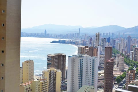 City view, Street view