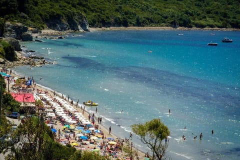Natural landscape, Beach