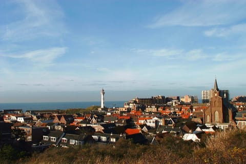 City view, Sea view