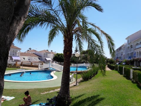 Garden, Swimming pool