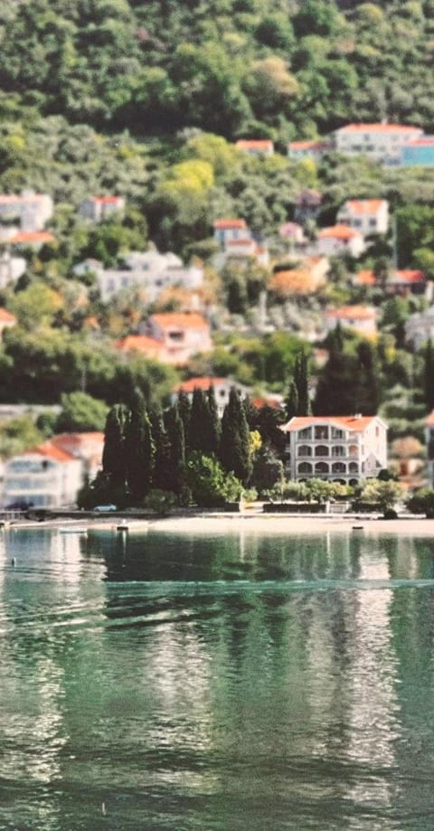 Property building, Beach, Sea view, Location